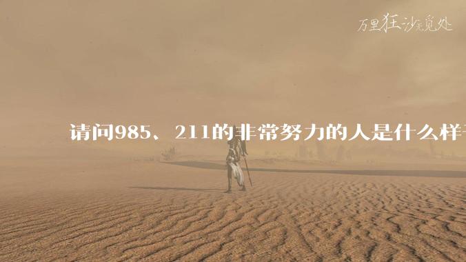请问985、211的非常努力的人是什么样子的？