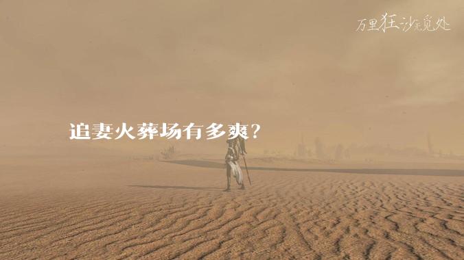 追妻火葬场有多爽？