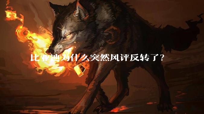 比亚迪为什么突然风评反转了？