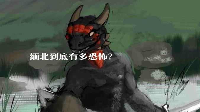 缅北到底有多恐怖？