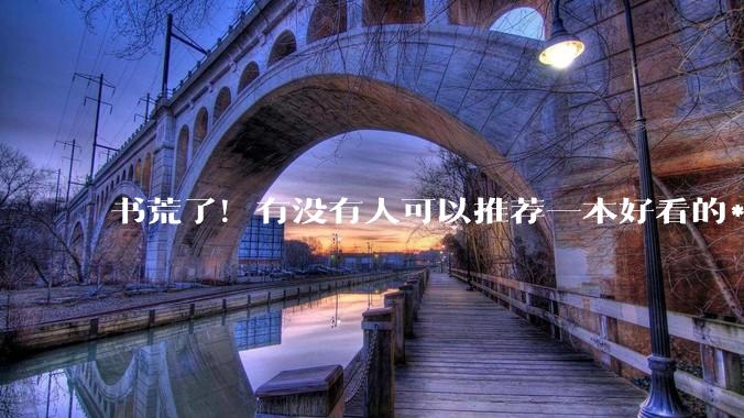 书荒了！有没有人可以推荐一本好看的***，什么类型都可以！！?