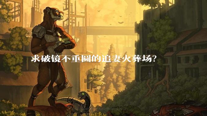 求破镜不重圆的追妻火葬场？