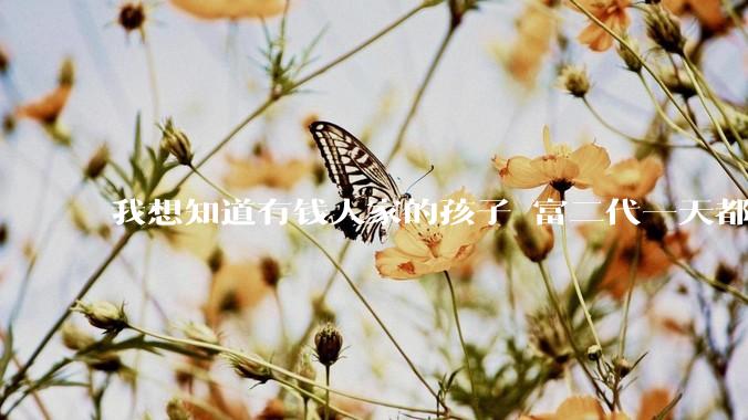 我想知道有钱人家的孩子 富二代一天都在干啥呢？