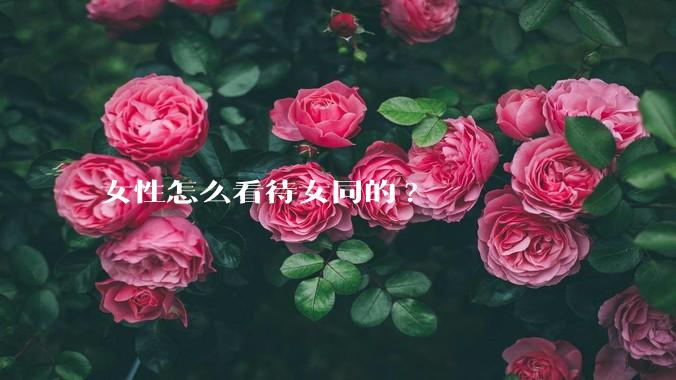 女性怎么看待女同的?