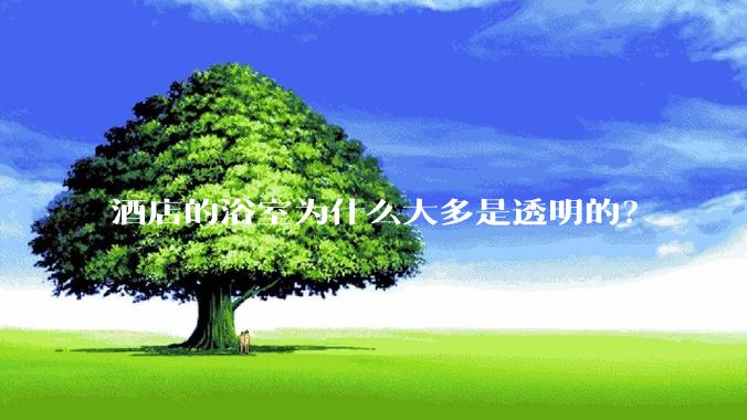 酒店的浴室为什么大多是透明的？