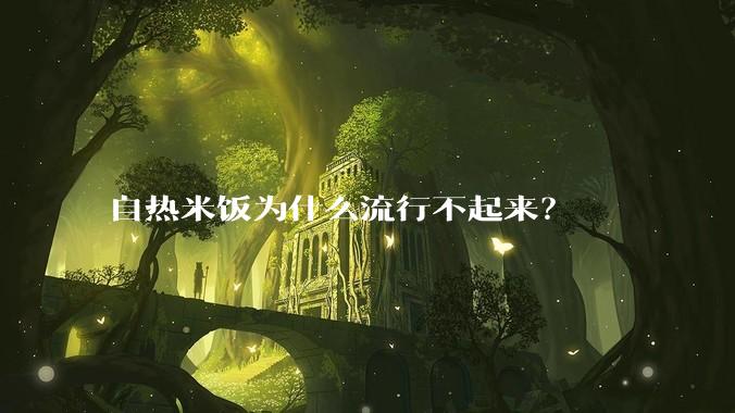 自热米饭为什么流行不起来？