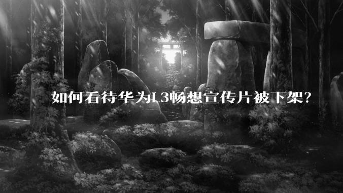 如何看待华为L3畅想宣传片被下架？