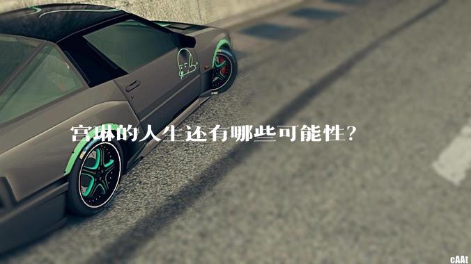 宫琳的人生还有哪些可能性？