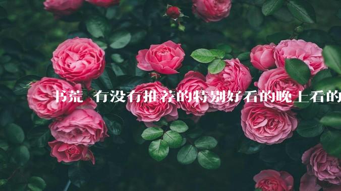 书荒 有没有推荐的特别好看的晚上看的***?