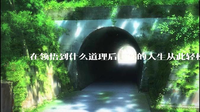 在领悟到什么道理后，你的人生从此轻松了起来？