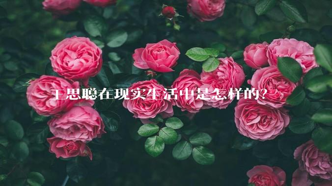 王思聪在现实生活中是怎样的？