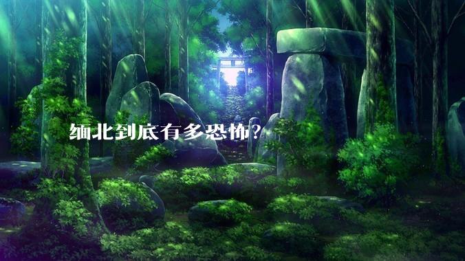 缅北到底有多恐怖？