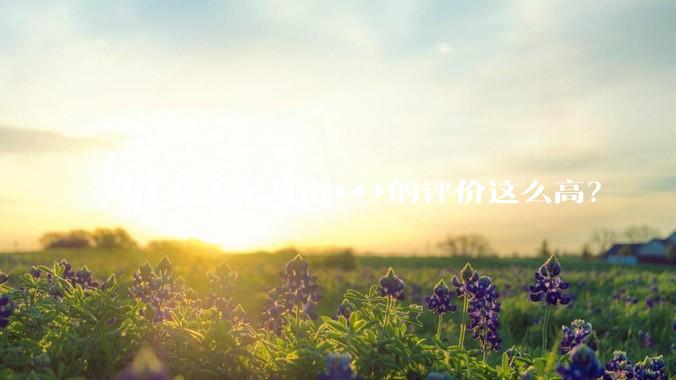 为什么大家对雷***的评价这么高？
