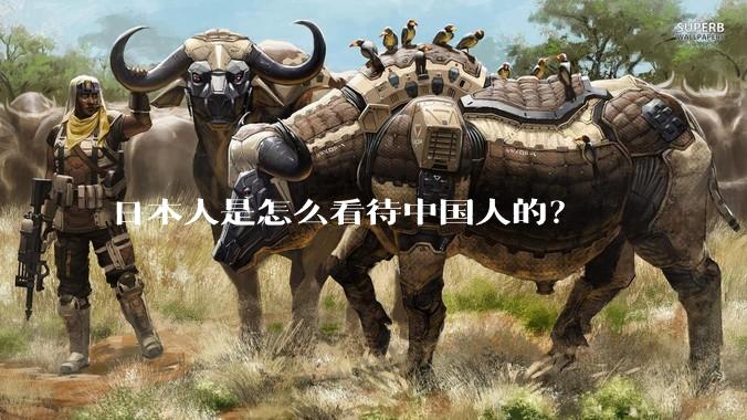 日本人是怎么看待中国人的？