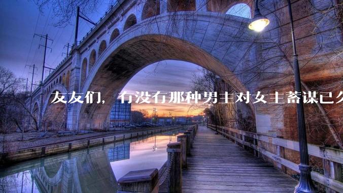 友友们，有没有那种男主对女主蓄谋已久的甜文啊？