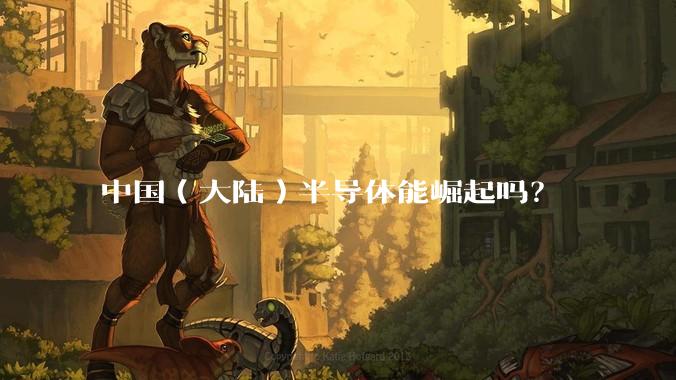 中国（大陆）半导体能崛起吗？