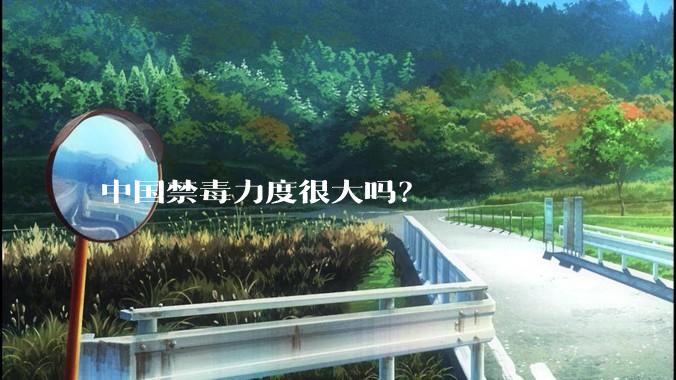 中国禁毒力度很大吗？