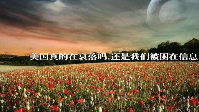 美国真的在衰落吗,还是我们被困在信息茧房?