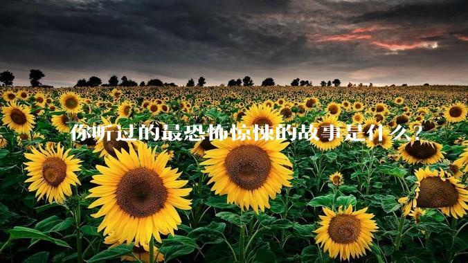 你听过的最恐怖惊悚的故事是什么？