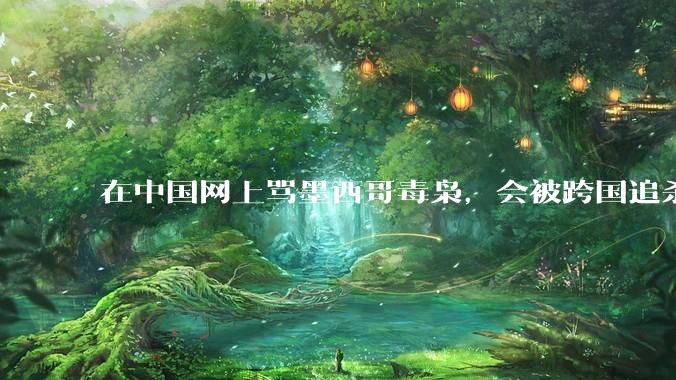 在中国网上骂墨西哥毒枭，会被跨国追杀吗？