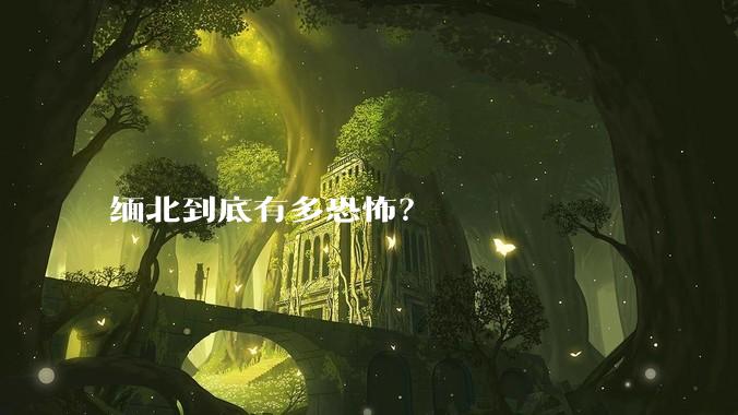 缅北到底有多恐怖？
